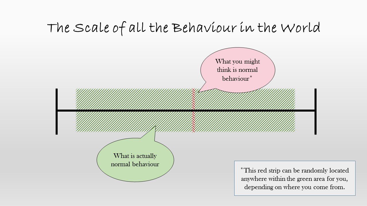 Normal Behaviour (Photo)